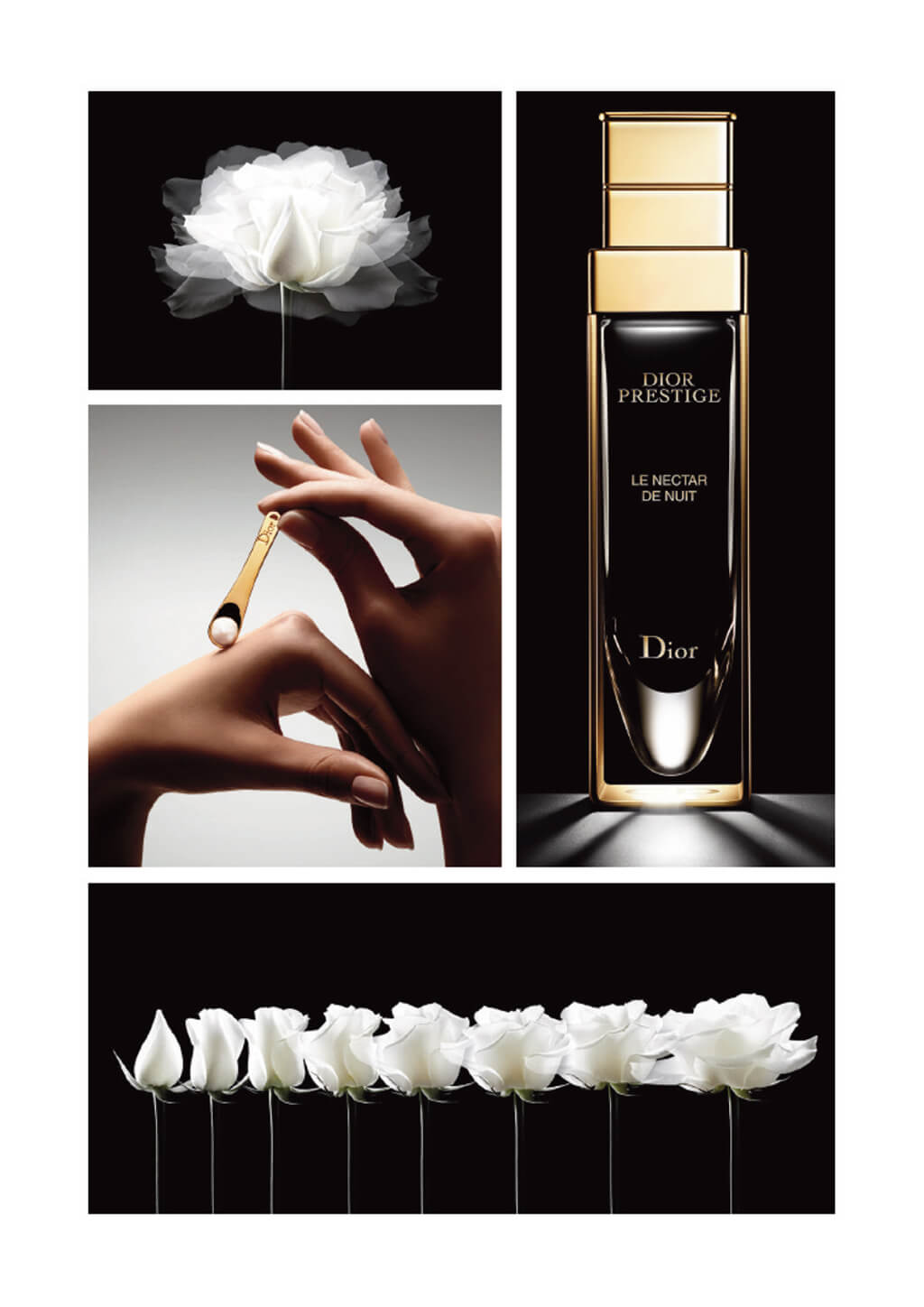 <p>Parfums Christian Dior : Livre de marque</p>
